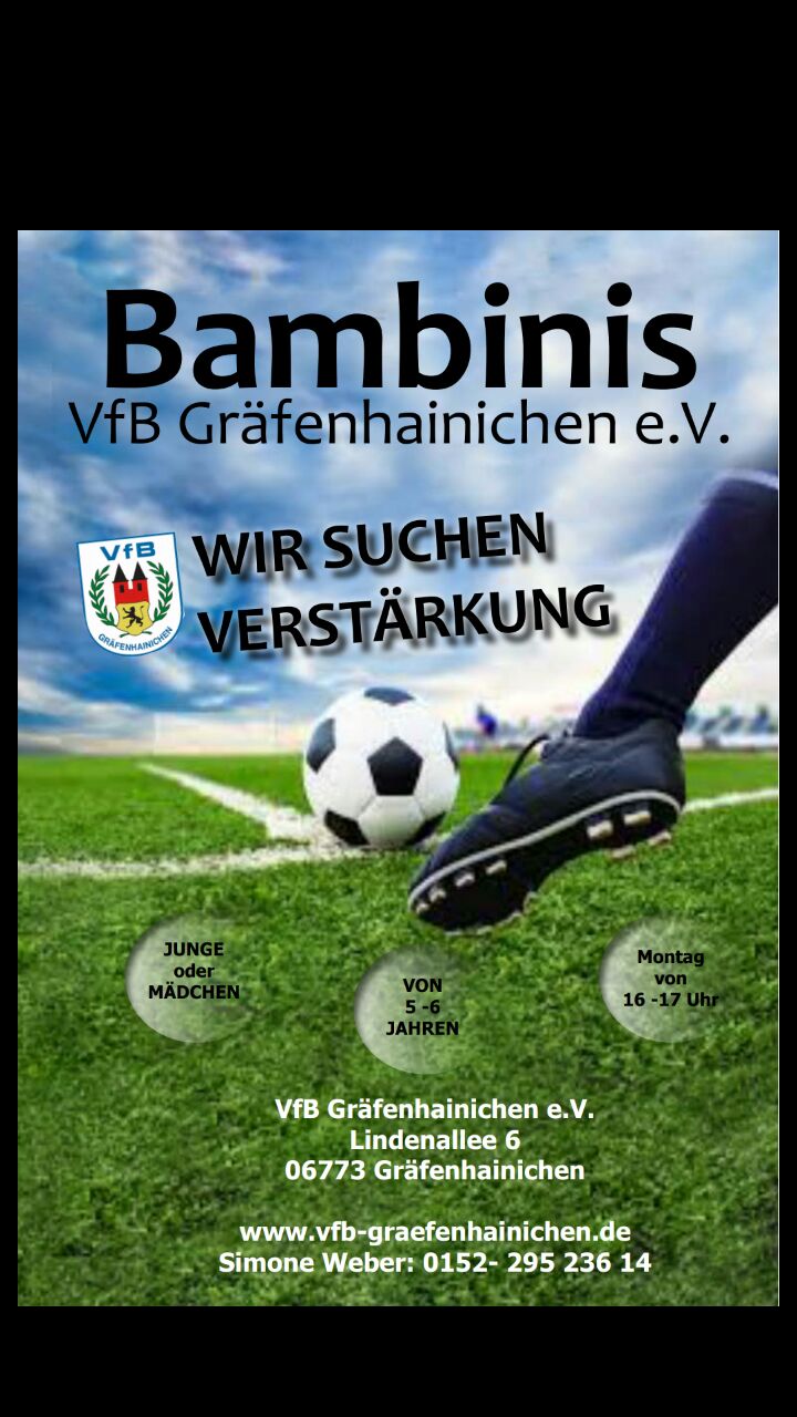 Flyer Bmbinis