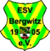 SV Bergwitz 05