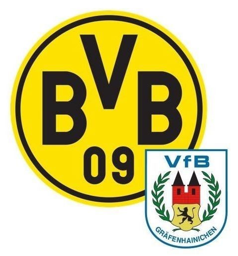 BVB-Evonik-Fussballakademie 2019 kann jetzt gebucht werden!