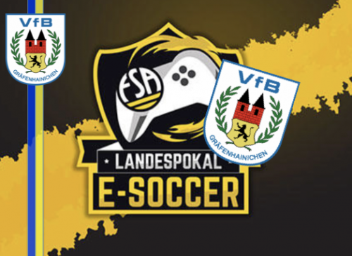 VfB will am Landespokal teilnehmen!