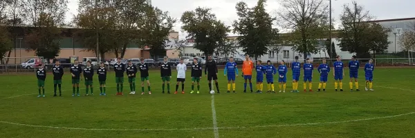03.11.2019 NSG Muldestausee vs. Piesteritz
