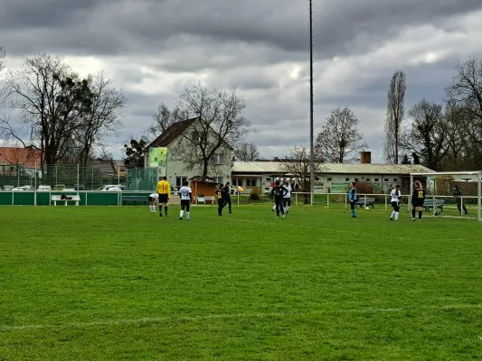 02.04.2023 SV Grün-Weiß-Wörlitz vs. VfB Gräfenhainichen