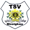 TSV 1894 Mosigkau