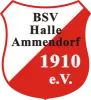 BSV Halle Ammendorf