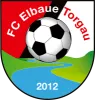 FC Elbaue Torgau