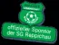 SG Reppichau
