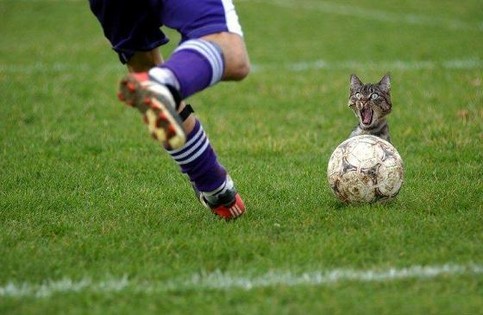 Was tun eigentlich Ehemalige bzw. verletzte Spieler des VfB