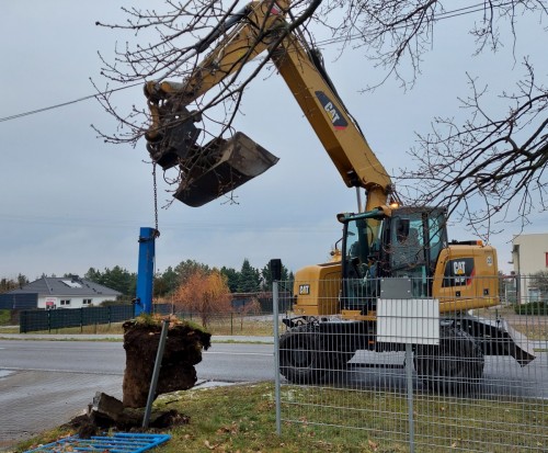 Neues Jahr neue Projekte - die Arbeit am Gelände geht weiter!