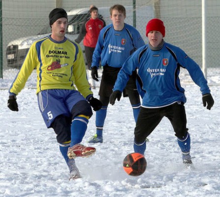 Elster streift zweimal die Schuhe über