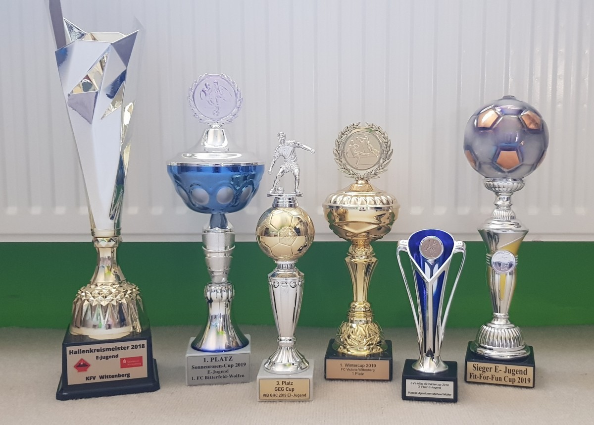 Hallensaison 2018/19 E-Jugend sehr erfolgreich beendet!