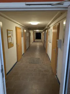 Die Arbeiten gehen weiter!