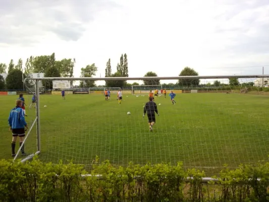 Trainingsauftakt Juli 2010