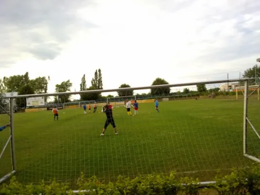 Trainingsauftakt Juli 2010