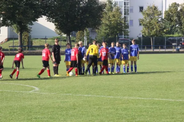 Vereinsfest Spiel D Jugend