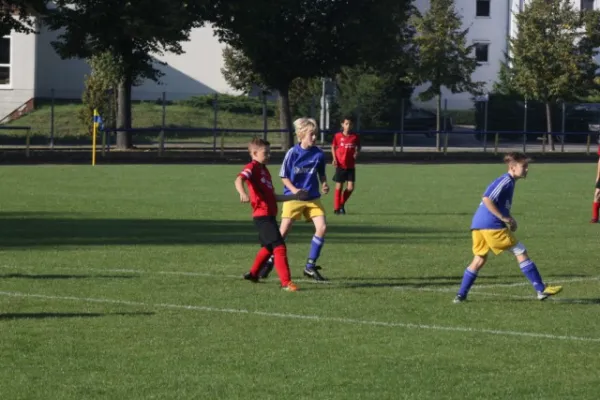 Vereinsfest Spiel D Jugend
