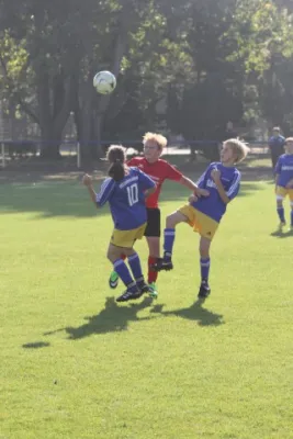 Vereinsfest Spiel D Jugend