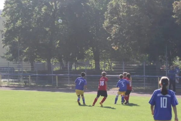 Vereinsfest Spiel D Jugend
