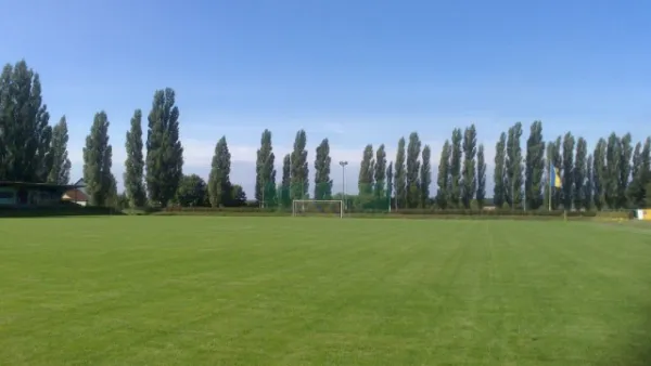 Stadion