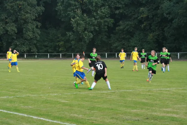 SG Rodleben/ Zerbst : VfB