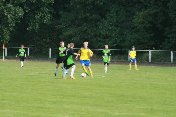 SG Rodleben/ Zerbst : VfB