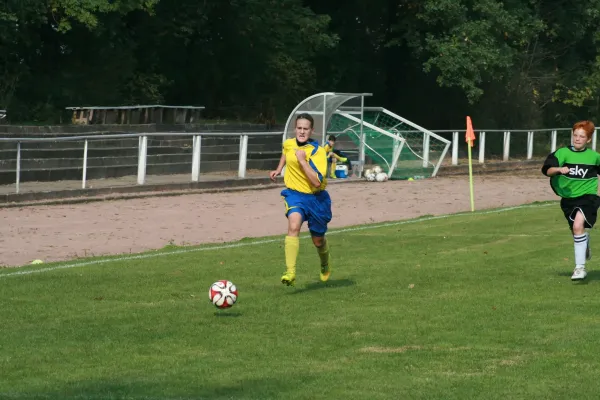 SG Rodleben/ Zerbst : VfB