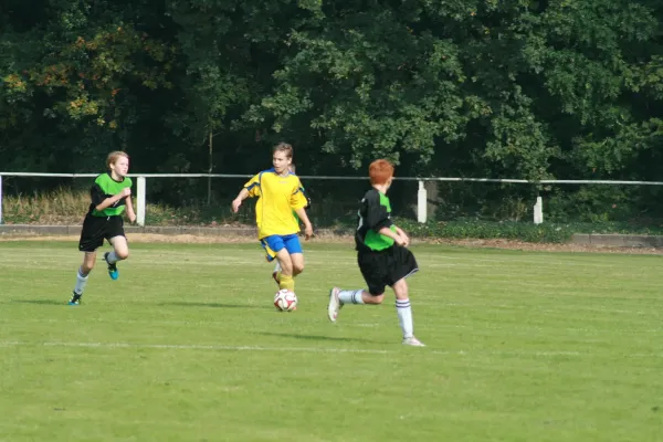 SG Rodleben/ Zerbst : VfB
