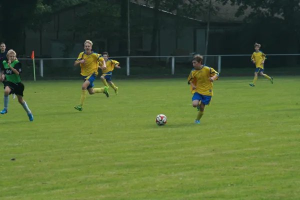 SG Rodleben/ Zerbst : VfB