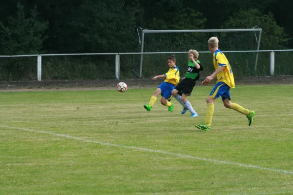SG Rodleben/ Zerbst : VfB