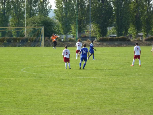 4. Vereinsfest