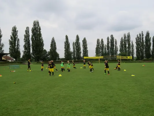 1. Camp Evonik Fussballschule BVB Dortmund 2017