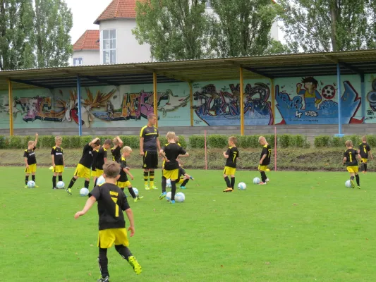 1. Camp Evonik Fussballschule BVB Dortmund 2017