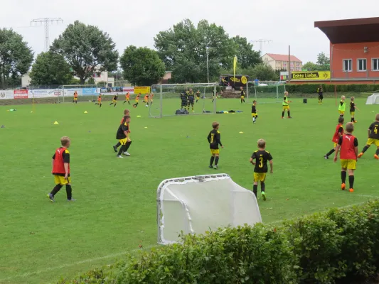 1. Camp Evonik Fussballschule BVB Dortmund 2017