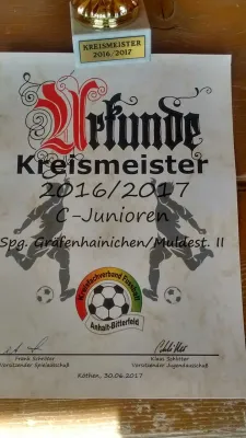 C-Jugend Kreismeisterschaft 2017