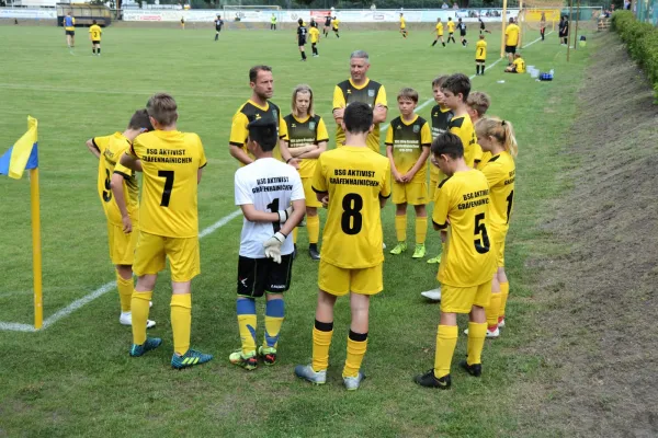 BSG Aktivisten Turnier D-Jugend 22.06.2019