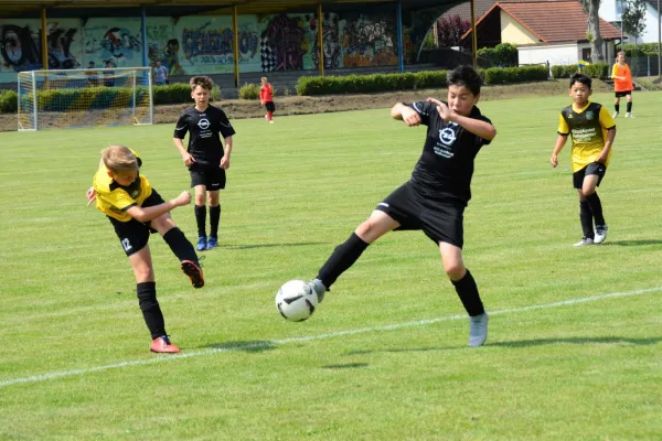 BSG Aktivisten Turnier D-Jugend 22.06.2019