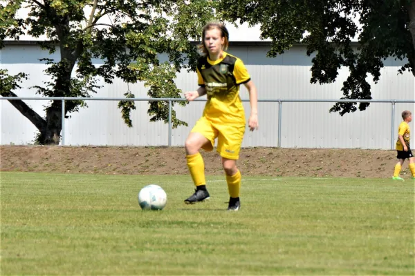 BSG Aktivisten Turnier D-Jugend 22.06.2019