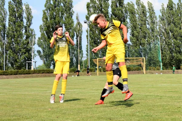 BSG Aktivisten Turnier D-Jugend 22.06.2019