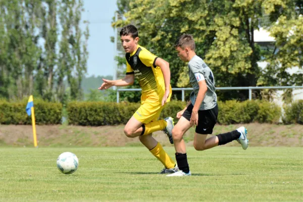 BSG Aktivisten Turnier D-Jugend 22.06.2019