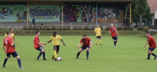 VfB - Blau Rot Coswig