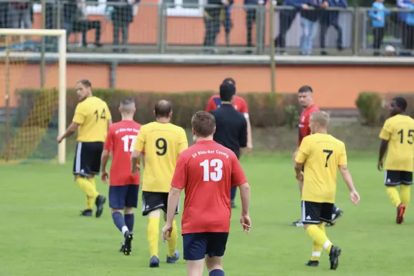 VfB - Blau Rot Coswig