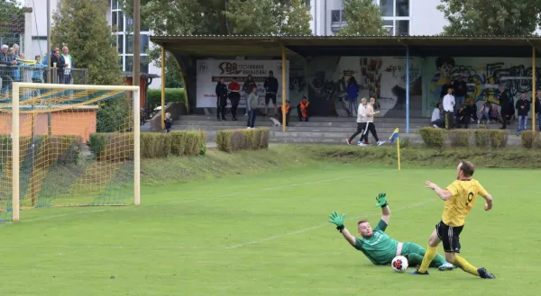 VfB - Blau Rot Coswig