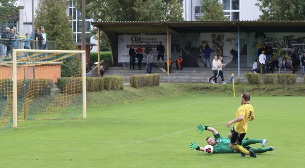 VfB - Blau Rot Coswig