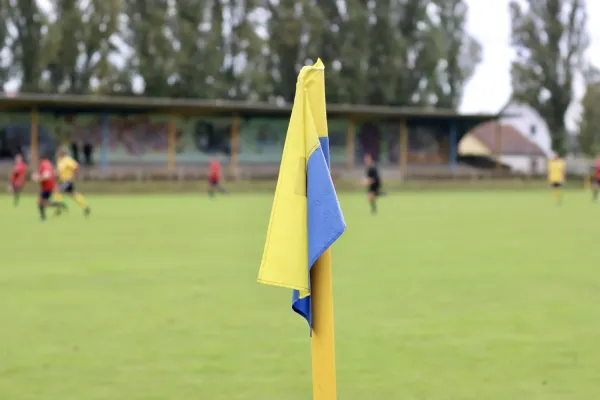 VfB - Blau Rot Coswig