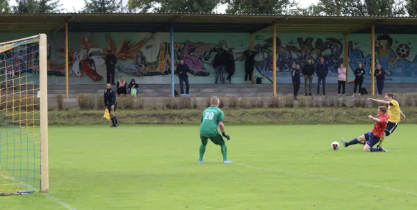 VfB - Blau Rot Coswig