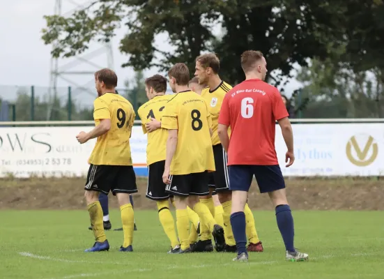 VfB - Blau Rot Coswig