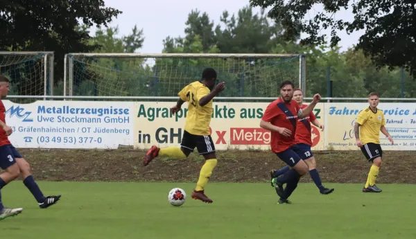 VfB - Blau Rot Coswig