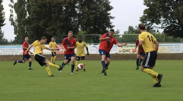 VfB - Blau Rot Coswig