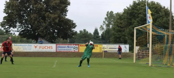 VfB - Blau Rot Coswig