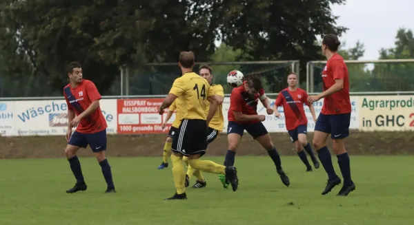 VfB - Blau Rot Coswig