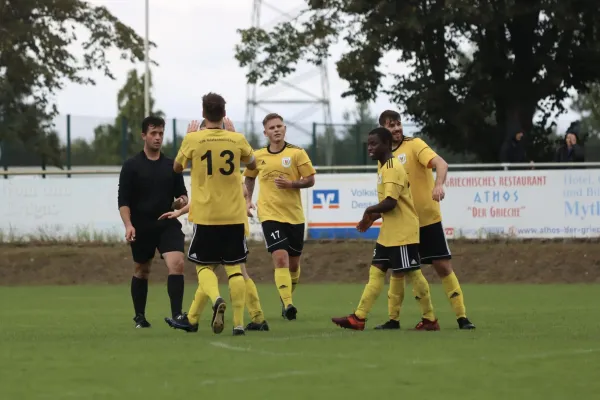 VfB - Blau Rot Coswig